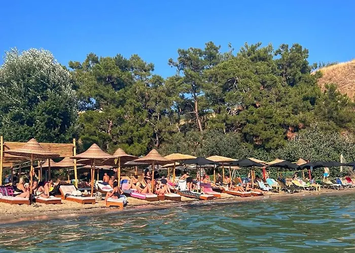 Vergia Coast Nea Kallikrateia
