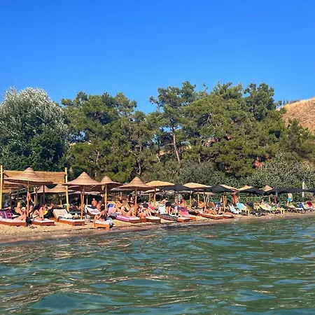 Vergia Coast Nea Kallikrateia